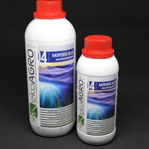 Ascophyllum Nodosum - Морски Алги