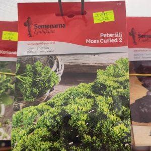 Petroselinum crispum - Француски Магдонос