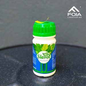 100ml
